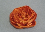 mini_flor_md_01.jpg (12814 bytes)