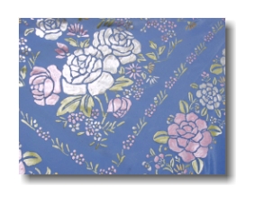 mini_manton azul con colores.jpg (52452 bytes)