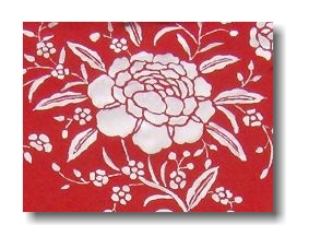 mini_manton rojo con blanco.jpg (58969 bytes)